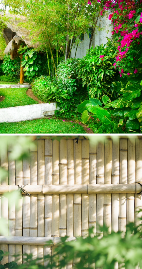 How to use Bamboo Plants for Privacy in your Yard - Home Chic & Comfort
